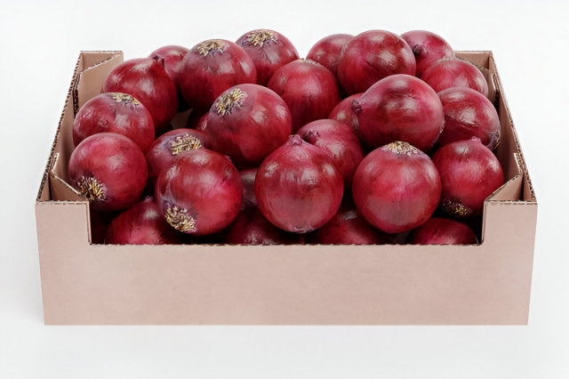 Indian Onion in Box